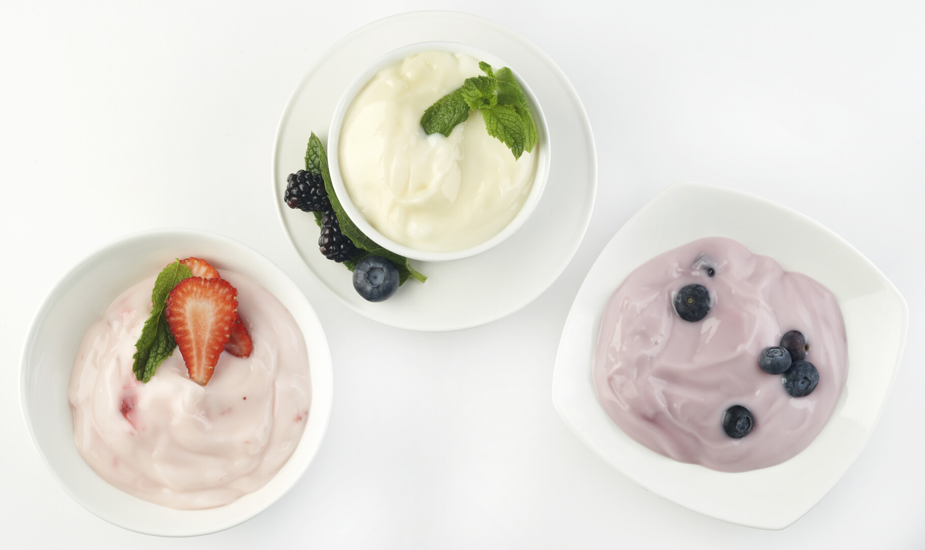 Fresh and Fermented Products