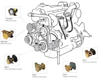 Pump Sizes F35 - F95